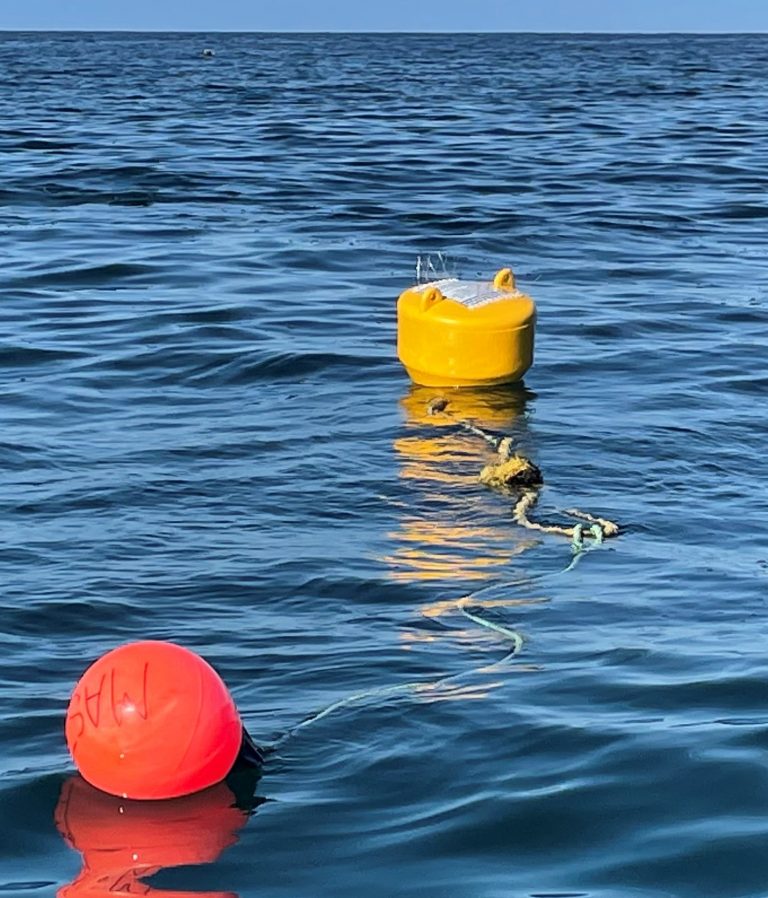 Prime Seal Island (Furneaux Group) Cruising Mooring Marine and Safety